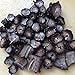 16oz-Dried Wild Sea Cucumber,岩刺参,Holothuria Mammata, Grade AAAA (mix size) 1LB