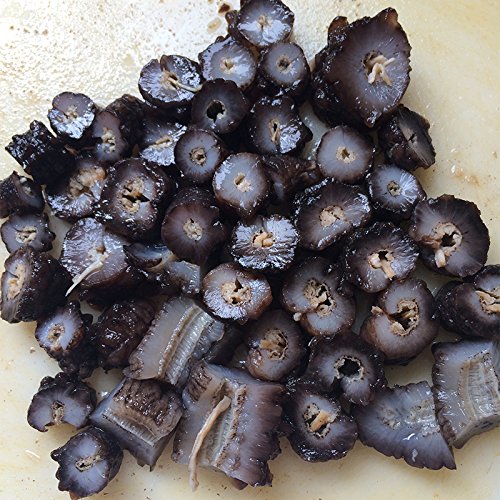 16oz-Dried Wild Sea Cucumber,岩刺参,Holothuria Mammata, Grade AAAA (mix size) 1LB - Thumbnail 6