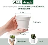 T4U 10cm Plastic Plant Pots 6-Pack with Saucers White Indoor Outdoor view 2