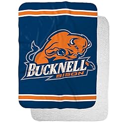 Bucknell University Bison Primary Logo Stripes