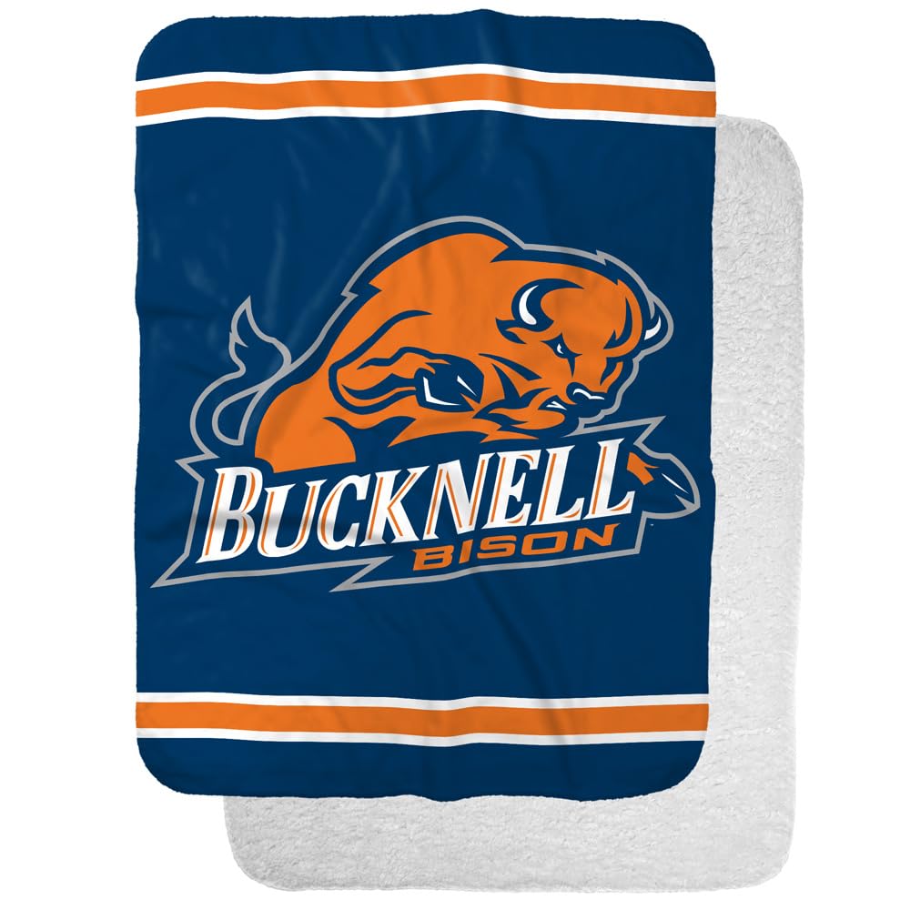Bucknell University Bison Primary Logo Stripes