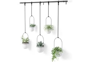 Umbra Triflora Hanging Planter for Window, Indoor Herb Garden, Set of 5, White/Black