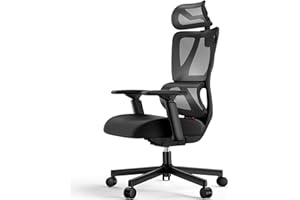 ProtoArc Ergonomic Office Chair, EC100 Big and Tall Mesh Computer Desk Chair with 30% Thicker Saddle Shaped Spring Cushion, Lumbar Support, Adjustable Headrest, Armrest for Home and Office - Black