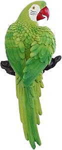 MonkeyJack Resin Animal Sculpture Modern Garden Zoo Ornament Decoration - Parrot Figure - Green, as described
