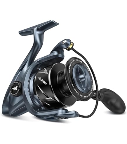 Amazon.com : Penn 2500 Spin Reel Box Sargus II, Black, S