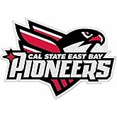 Rico Industries NCAA Cal State East Bay Pioneers Shape Cut Pennant - Home and Living Room Décor - Soft Felt EZ to Hang