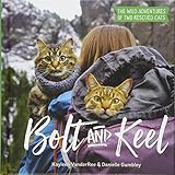Bolt and Keel: The Wild Adventures of Two Rescued Cats by Kayleen VanderRee, Danielle Gumbley