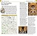 Top 10 Rome: 2019 (Pocket Travel Guide)