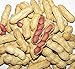 50 Four Grains Red Peanut Plant Organic Vegetable Seeds ~Chris's garden