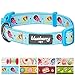 Blueberry Pet 8 Patterns Summer Party Ideas Ice Cream Refreshing Moment Designer Dog Collar, Medium, Neck 14.5