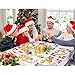 OurWarm 6pcs Embroidered Christmas Placemats, Red Poinsettia Placemats with Holly for Christmas Holiday Decorations, 11 x 17 Inch Christmas Table Mats
