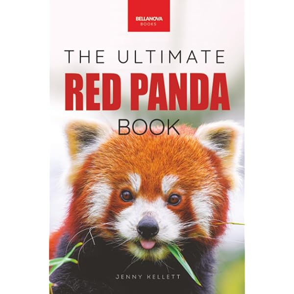 Red Panda | Amazon.com.br