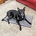 Premium Pet Bed Mat: Soft Self Warming Dog Bed - Crate Pad for Dogs and Cats - Medium Dog Beds, Small Dog Beds - Cat Bed with Reflective Core - Puppy Bed