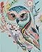 Colorful Owl Cross Stitch Kits, 14ct, Egyptian Cotton Thread 180x240 Stitch, 43x54cm Cross Stitch Kits