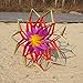 Besra Large Single Line Lotus Flower Box Kite 55inch 3D Diamond Kite with Flying Tools Outdoor Fun Sports for Kids & Adults (55inch)