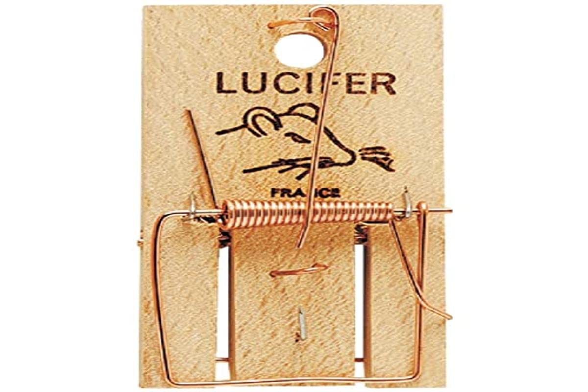 DIGRAIN Luna to Mouse - R4001