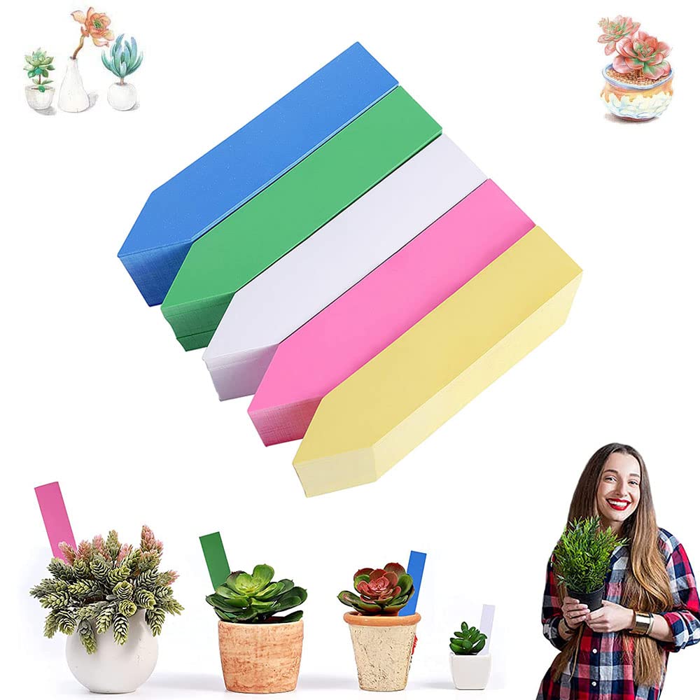 Amasawa 500 Pieces Multicolor Nursery Labels, Plastic Seed Labels, Multicoloured Plastic Plant Labels, Plastic Plant Seed Labels, for Vegetable, Fruits, Flower, Herb, Gardening Lovers(Five Colors)