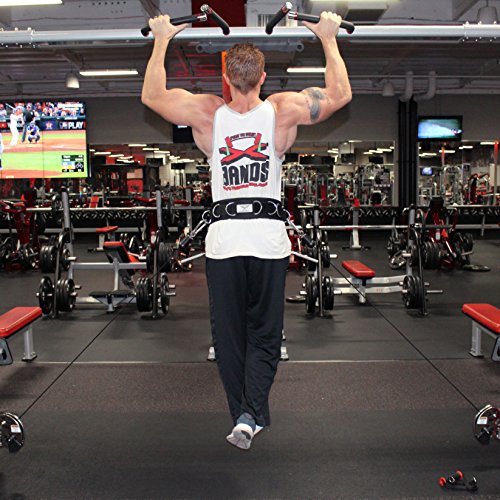The x Bands Premium Weightlifting Belt with 7 Build-in Rings, Detachable Chain and Adjustment Strap- Weight Lifting, Dip Belt and Mobility Belt in One (Medium)
