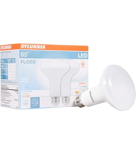 Lot De 10 Ampoules SYLVANIA 24V 40W E27 Blanc - Pour Baladeuse Ou éclairage Véhicule - Fabriqué En France