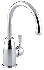 KOHLER K-6665-CP Wellspring Beverage Faucet, Polished Chrome