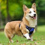 Rabbitgoo Dog Harness Large No Pull Reflective Adjustable Vest with 2 Leash view 9