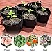 Upgraded 10 Pack 10 Gallon Grow Bags, Heavy Duty Non-Woven Fabric Plant Pots with Strong Handles, Vegetable Flower Growing Containersthumb 2