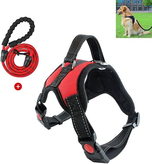 pets at home dog harness