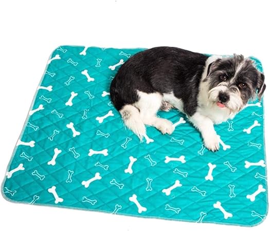 amazon empapadores perro