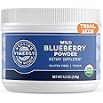 Vimergy Wild Blueberry Powder –Protects Brain Health* - Supports Cardiovascular Function* – Organic, Vegan & Gluten-Free – Trial Size 125g