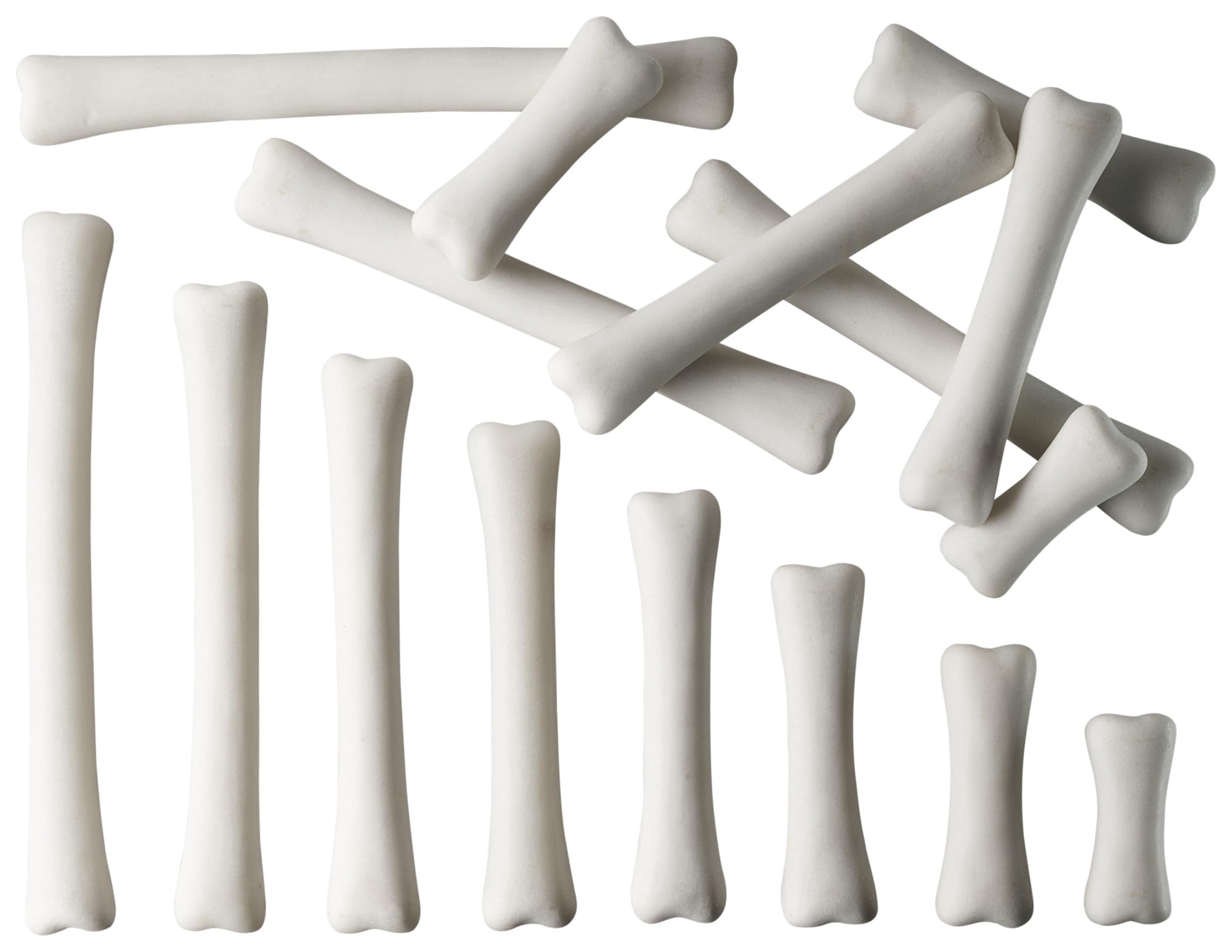 Yellow Door Dinosaur Bones Match and Measure Set | 16 Toy Bones | STEM Activity | Prehistoric learning | Early maths to investigate collect compare measure | Halloween | kids age 3 4 5 | Outdoor play