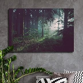 Sunlight Passing Through The Trees in The Forest