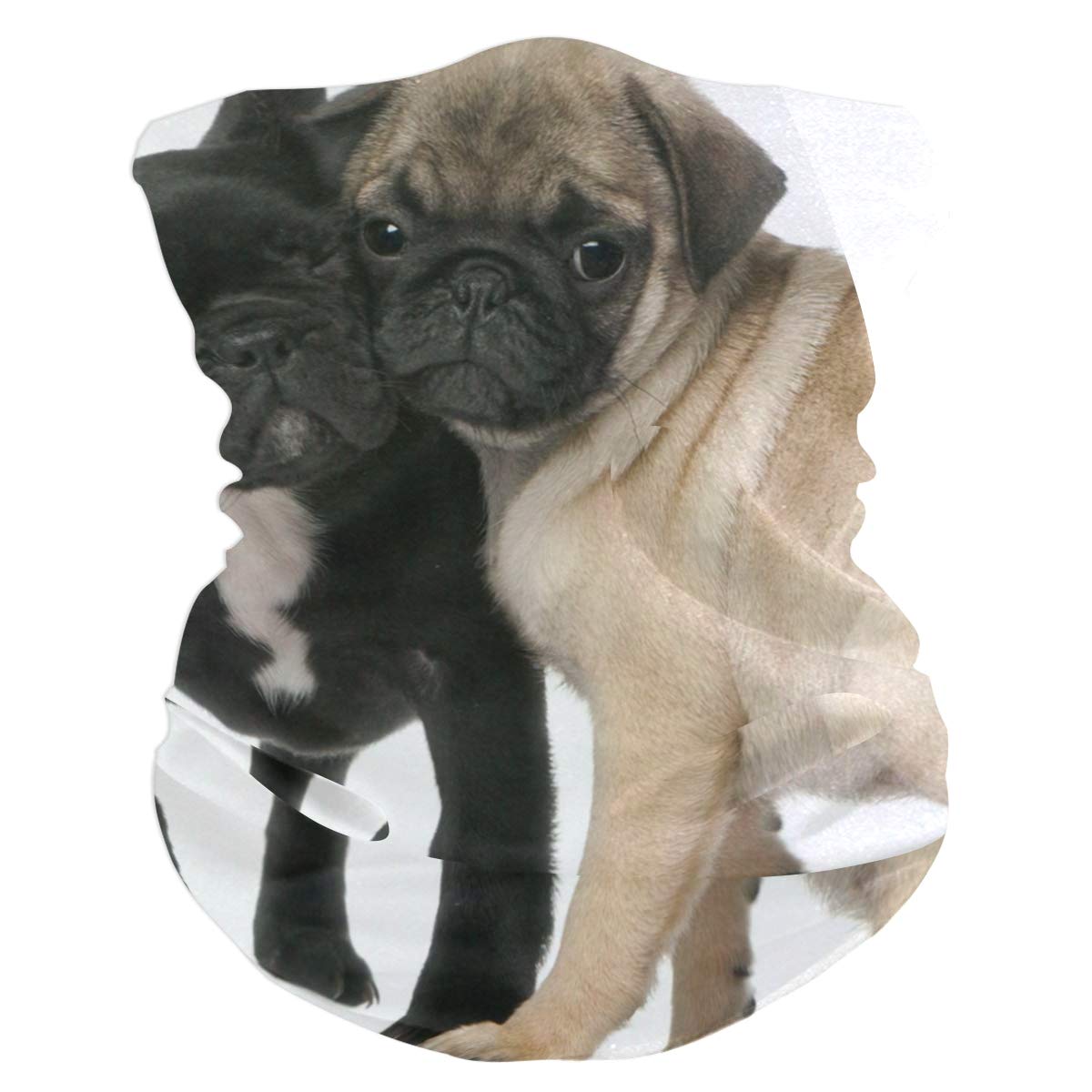 Best Of Pug Headband Womens Bandana Multifunctional Mens Balaclava, Neck Warmer, Face Mask, Sweatband Hatliner