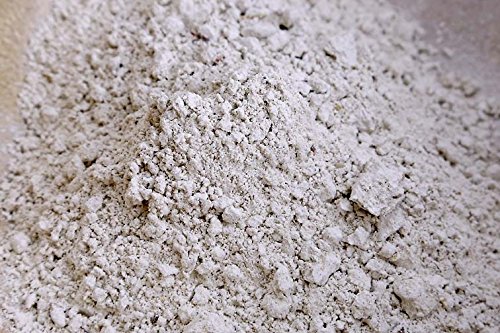 Breadtopia Diastatic Barley Malt Powder Organic Buy