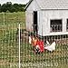 Premier PoultryNet Electric Fence, 48