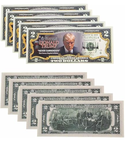 50 Stück Donald Trump 100 Dollar Bills – Sammlerstück, Make America Great Again, Bunt Gedruckt