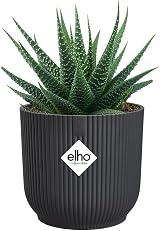 elho Vibes Fold Round Mini Flower Pot 7.0 cm Black Anthracite view 3