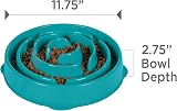 Outward Hound Slow Feeder Dog Bowl Large Turquoise – Non-Slip, Durable view 7