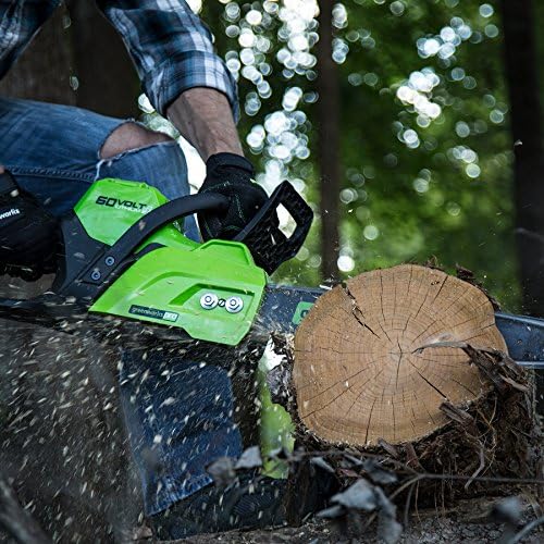 Greenworks Pro WG308 featured image 5