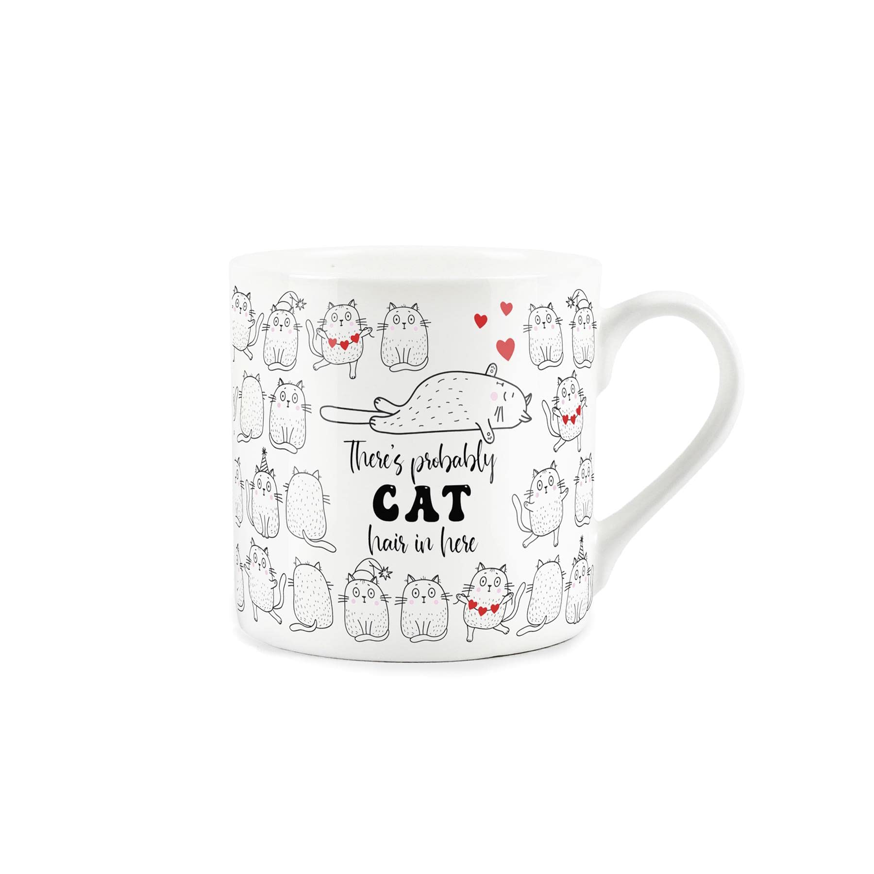 Purely Home Cat Love Anniversary Mug - There's Probably Cat Hair in Here - Fine Bone China White Coffee/Tea Present Romantic Gift
