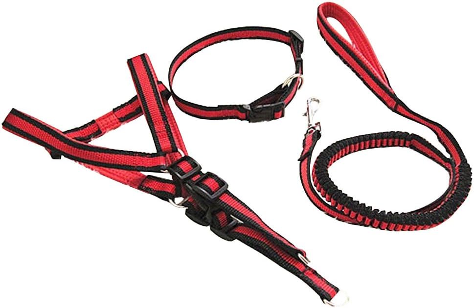 Bayro Pet Leash Harness Collar Set For Large Medium Small Dogs