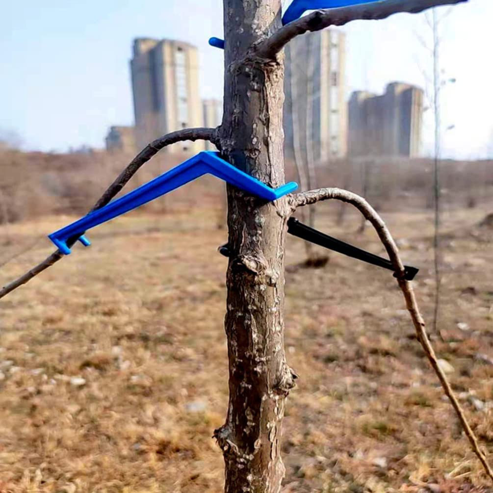 BESPORTBLE 50pcs Garden Tool Branch Puller Plant Bending Clamp Fixing Clips for Fruit Trees Bonsai Branch Trunk Trainer Use