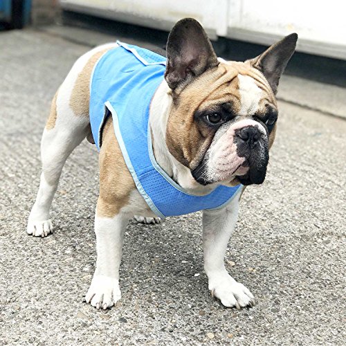 Ranphy Dog Cooling Vest for Small, Medium and Larges Dogs Reusable Swamp Cooler Jacket Soft Lightweight Pet Cool Coat Breathable Canine Outdoor Sunscreen Clothingfor Summer Hot Weather Blue Size L