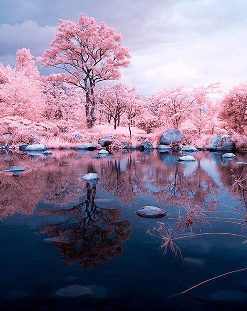 JOLOMOY Paint by Numbers Kits for Adults, DIY Digital Oil Painting by Number for Kids Beginner - Pink Cherry Tree Forest 16X20 inch Number Painting Home Decor (Frameless)