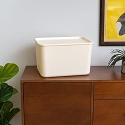 IRIS USA Plasti Basket Bin