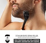 AN BAILIHUA Beard Roller 0.3MM 540 Titanium Microneedle Derma Men Growth view 5