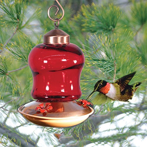 Audubon Red Glass Mini Lantern Hummingbird Feeder Model NAH6