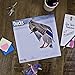 Ducks 2018 Wall Calendar 12 x 12 inches Bright Day Calendars Publishing, 16 Month: September 2017 - December 2018