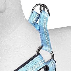 Blueberry Pet Soft & Comfy 3M Reflective Step-in