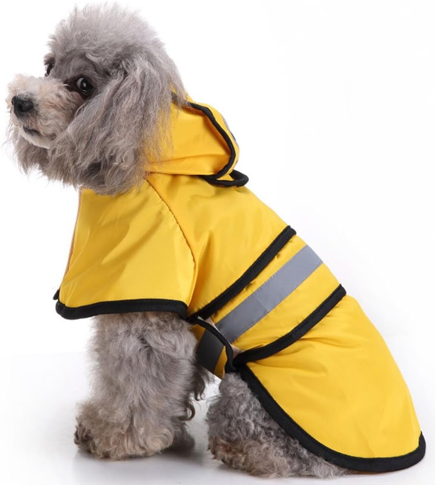 shih tzu raincoat
