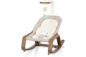 Evenflo Lyra 2-in-1 Infant to Toddler Rocker - Coastal Coffee